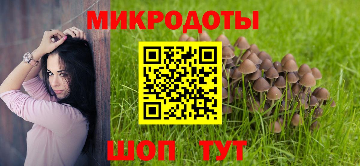 Псилоцибиновые грибы Psilocybine cubensis Вязьма